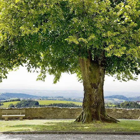Schatz.kammer Burg Kreuzen Kreuzen (Upper Austria)
