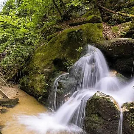 Ξενοδοχείο Schatz.kammer Burg Kreuzen Kreuzen (Upper Austria)
