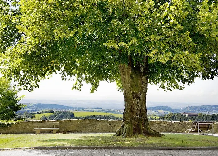 Schatz.kammer Burg Kreuzen Kreuzen (Upper Austria)