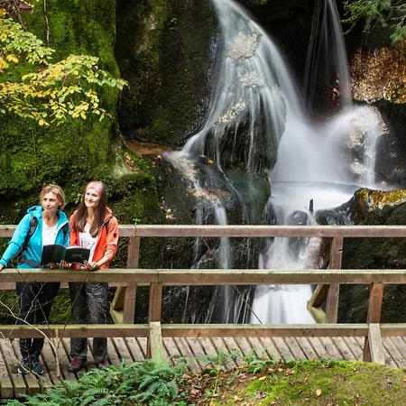 沙茨卡摩尔伯格克鲁曾酒店 3* Kreuzen (Upper Austria)