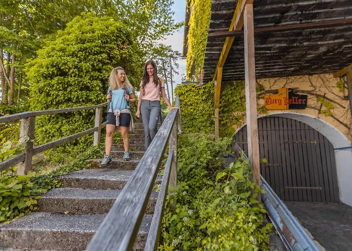 Ξενοδοχείο Schatz.kammer Burg Kreuzen 3*